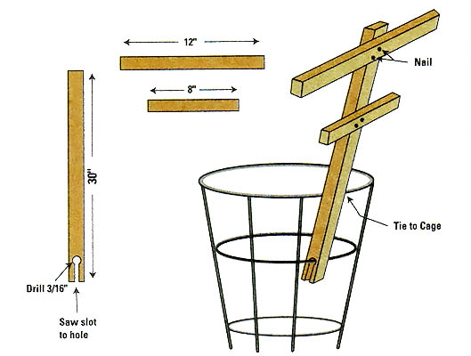 
Use 3/4"  x 3/4" stock (bamboo is good) and adjust size as needed to extend a tomato cage.
